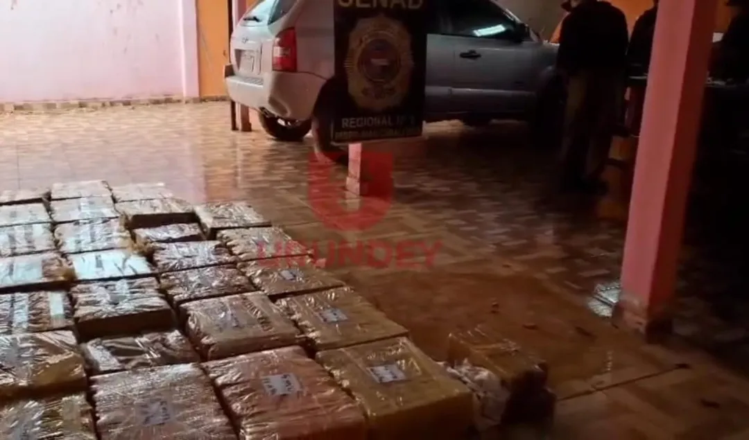 Allanamiento en Pedro Juan Caballero: SENAD incauta más de 700 kilos de marihuana
