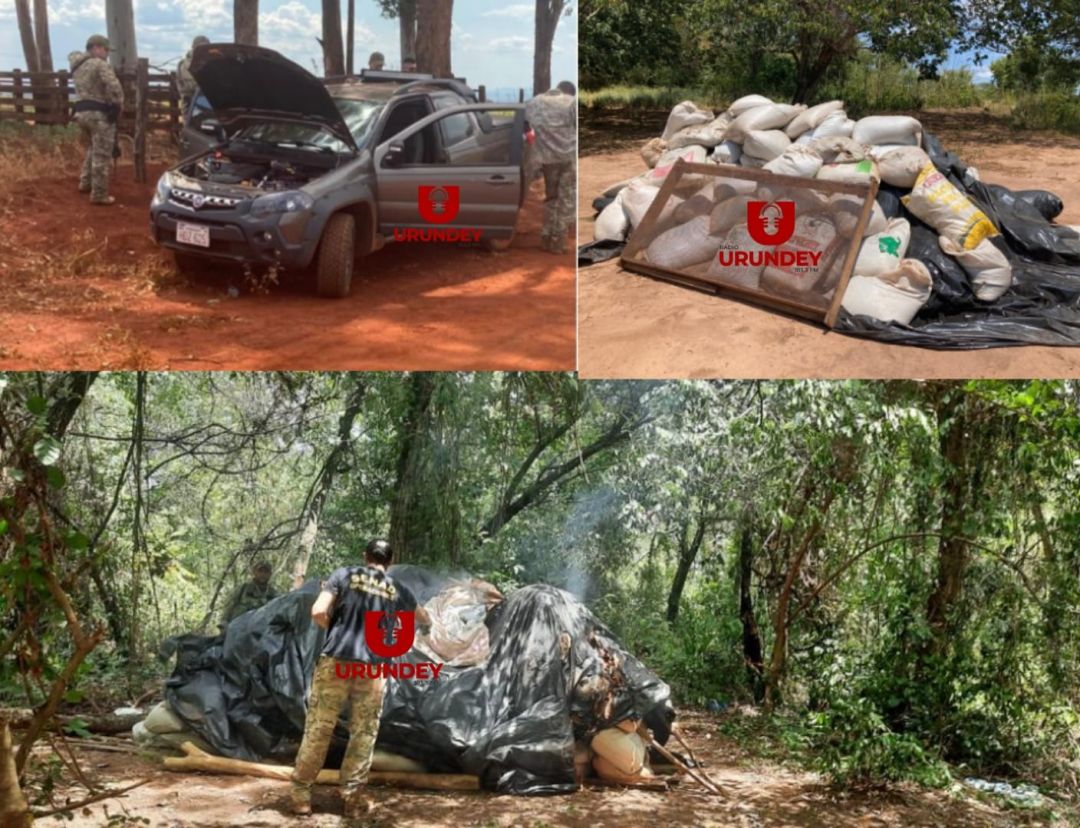 Hallan más de 6 toneladas de marihuana en Amambay