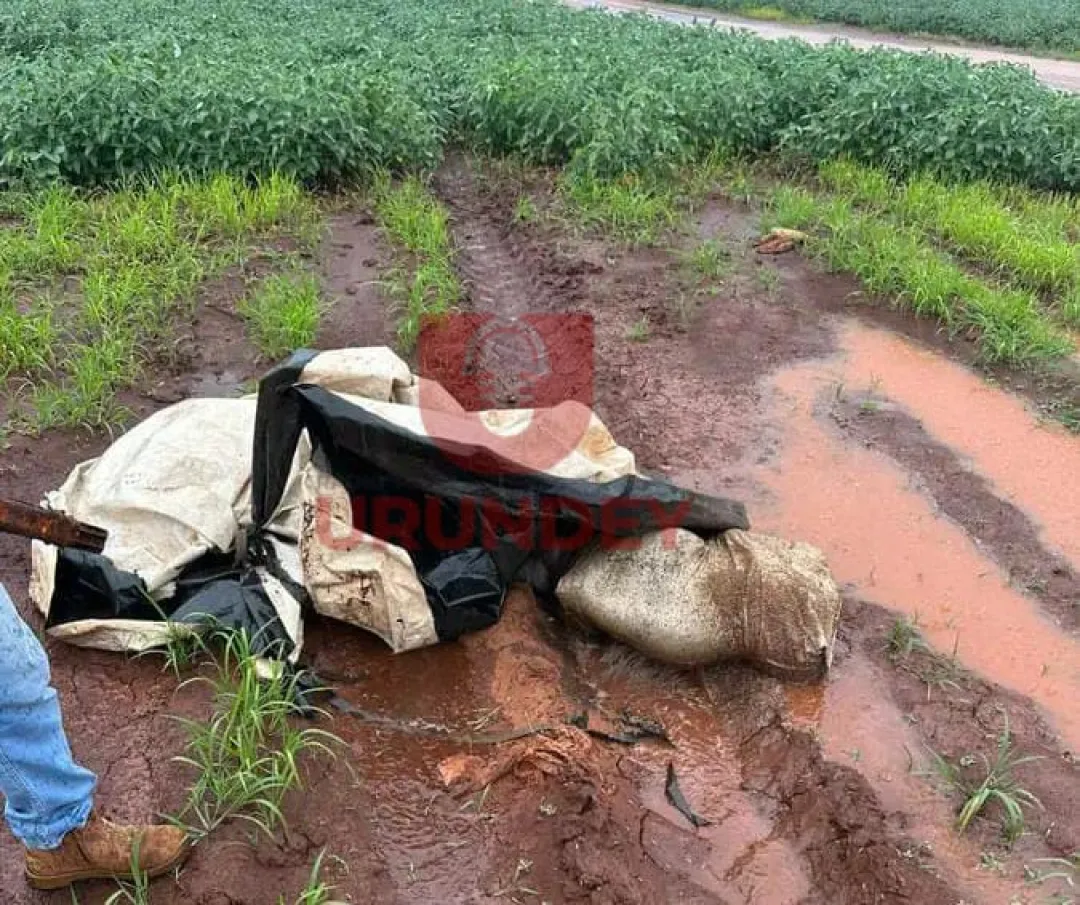Encuentran cadáver envuelto en una bolsa en Ponta Porã
