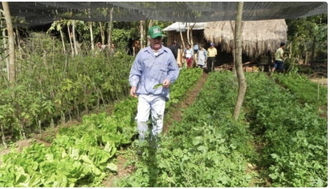 Censo Agropecuario aportará datos relevantes para la economía nacional