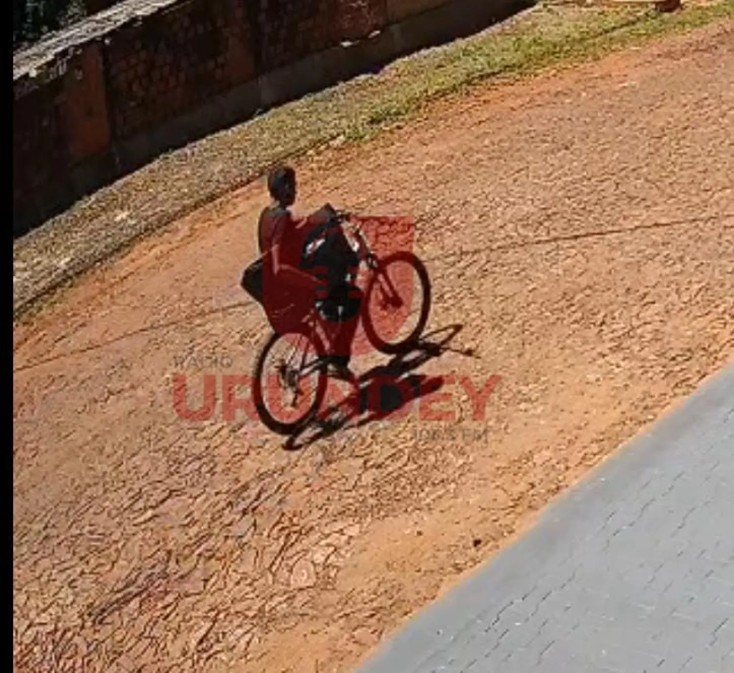Denuncian hurto de televisor y bicicleta tras violencia de accesos en vivienda de PJC