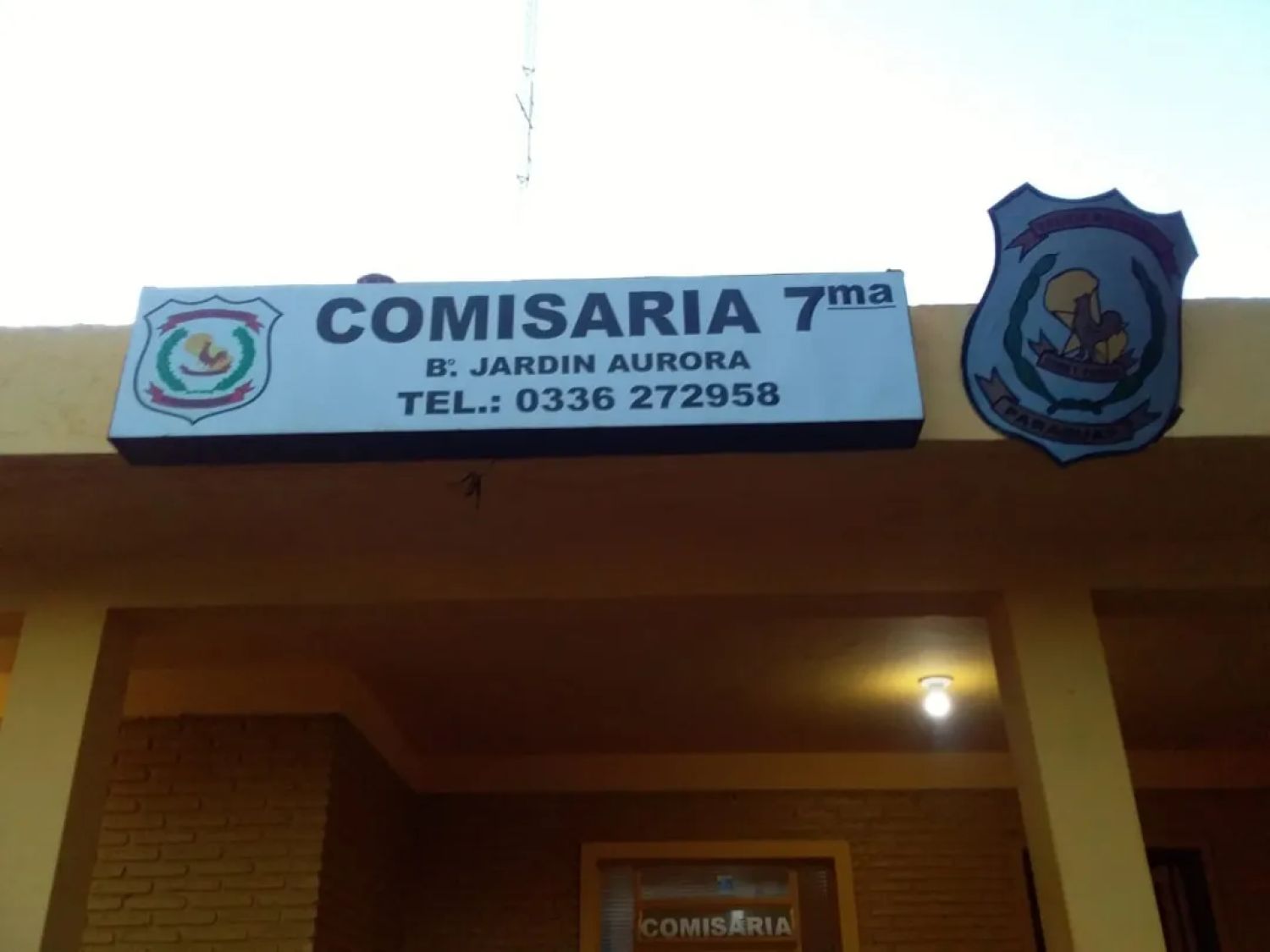 Denuncian grave caso de maltrato y abandono animal en Pedro Juan Caballero