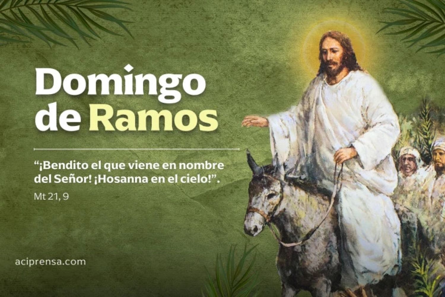 Hoy celebramos el ‘Domingo de Ramos de la Pasión del Señor’ 2026