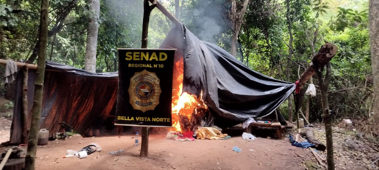Operativo en Bella Vista Norte: Anulan 18 toneladas de marihuana en establecimiento rural