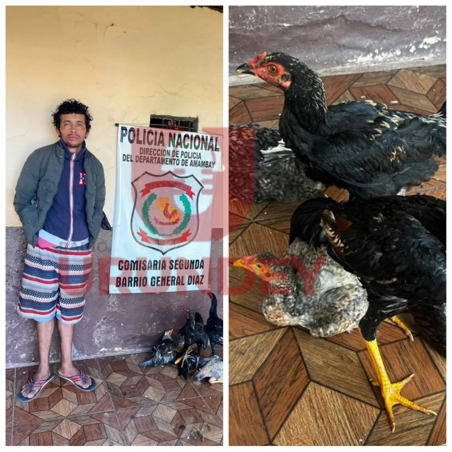 Capturan a alias "Capacete" tras hurtar gallinas del Mercado Municipal de Pedro Juan Caballero