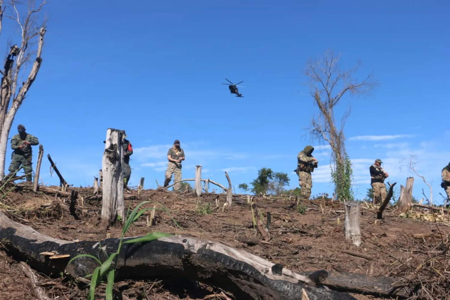 Operación Restaurar: SENAD impulsa reforestación tras erradicar cultivos ilícitos en Amambay