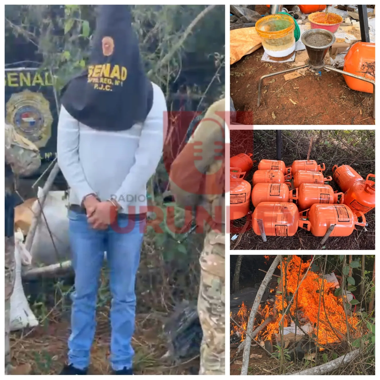 Desmantelan laboratorios de marihuana ICE y hachís en Karapai y detienen a un brasileño