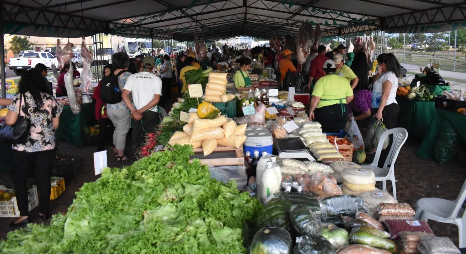 Feria semanal de la Agricultura beneficiará a más de 1.500 familias del país