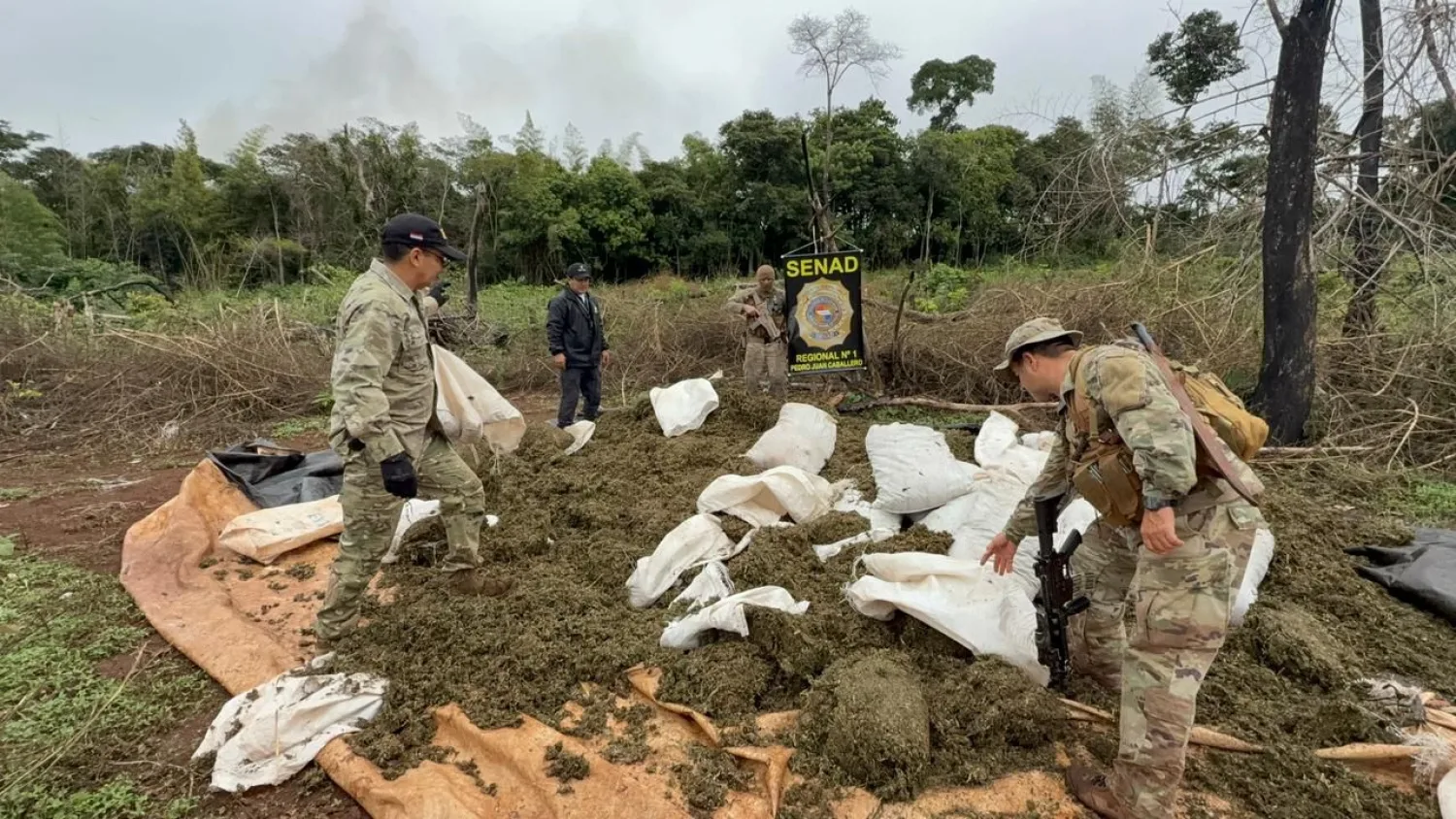 SENAD destruye campamentos y más de once toneladas de marihuana en Cerro Corá