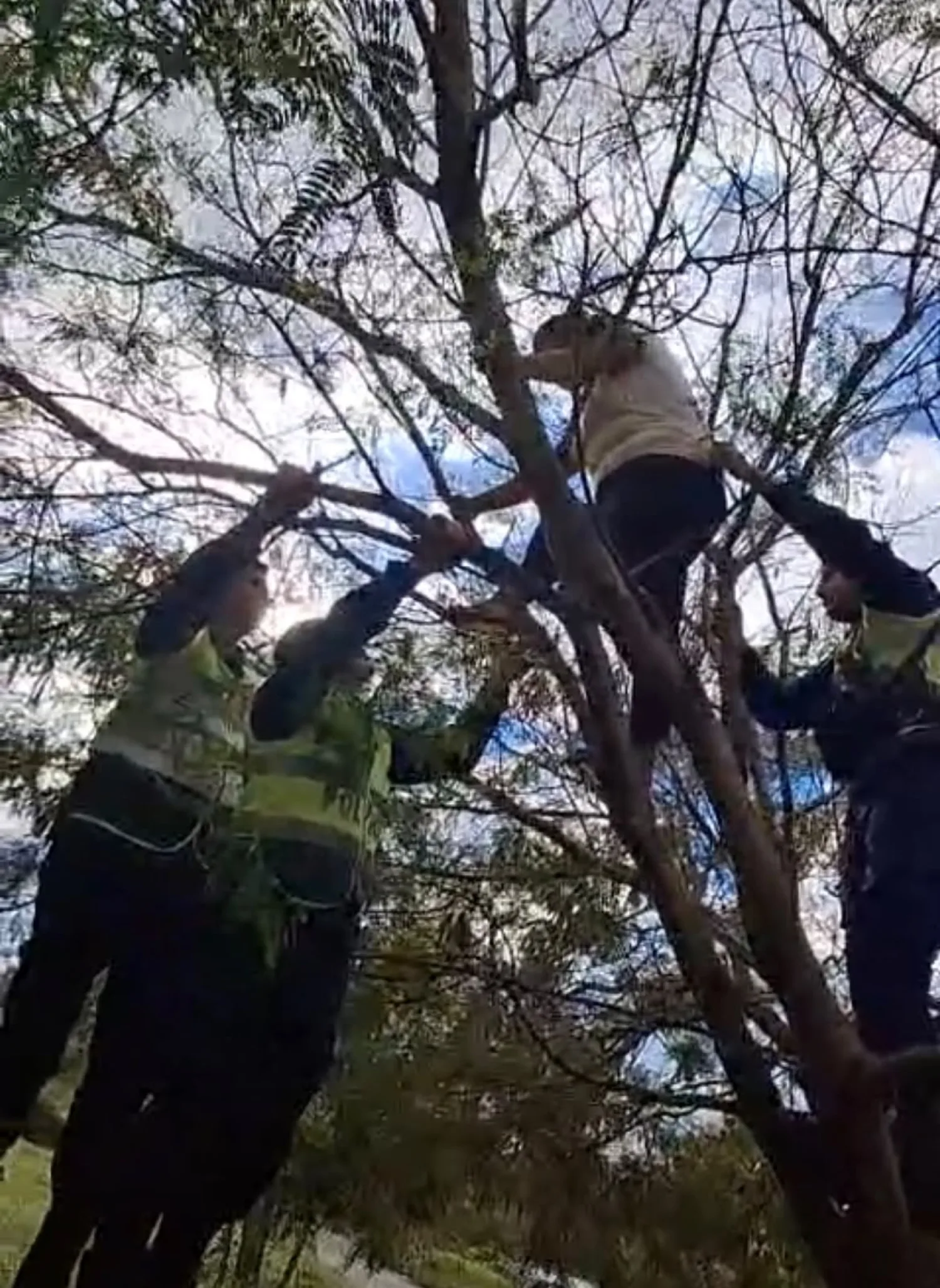 PJC: Policías logran convencer a una mujer para que no acabe con su vida