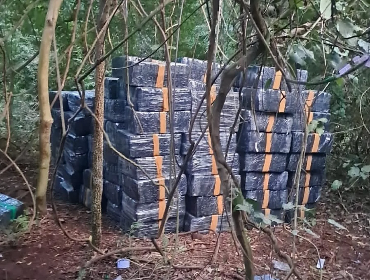 Asestan golpe por más de USD 8 millones al crimen organizado en Amambay