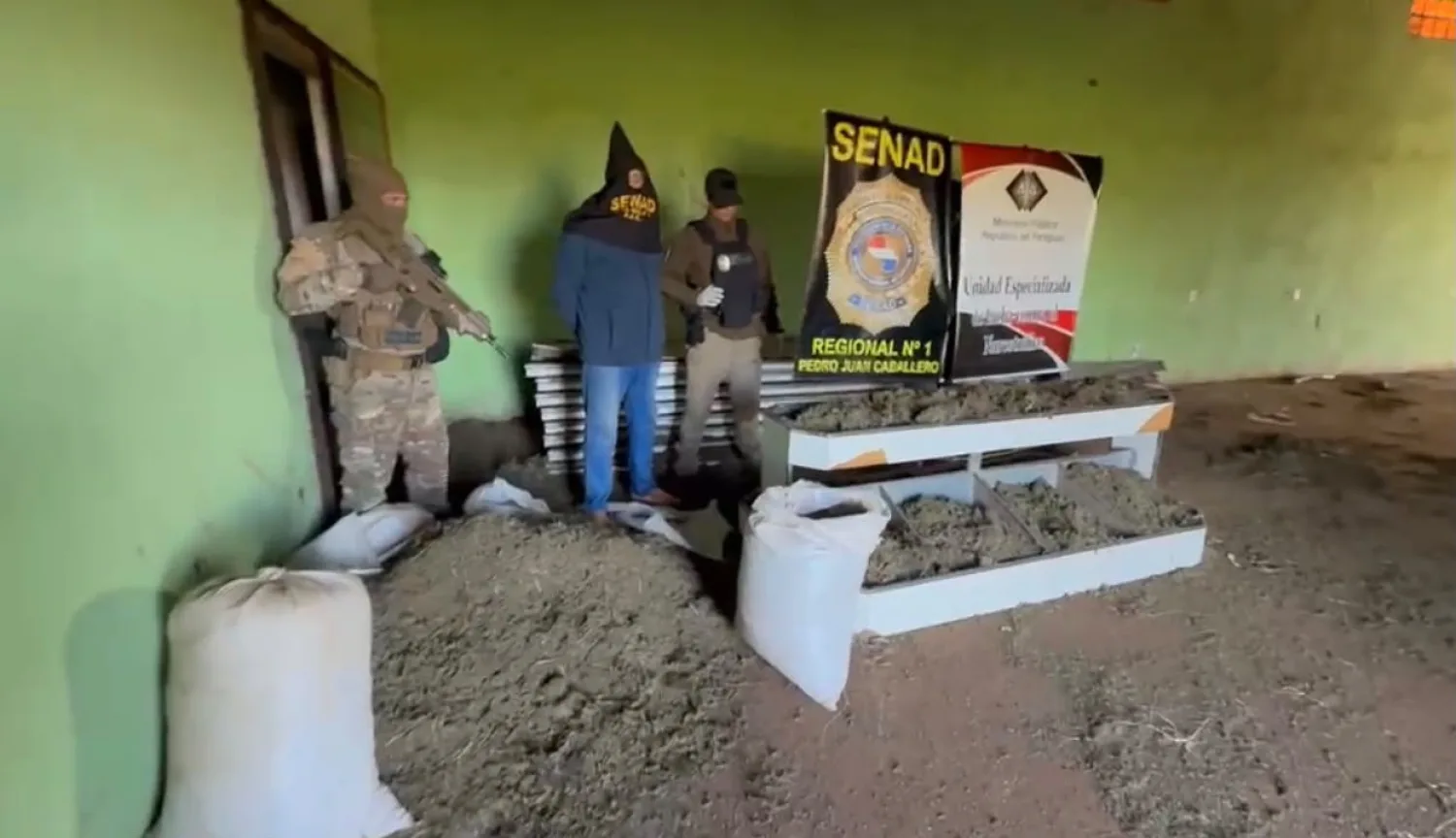 Detienen a un hombre y queman toneladas de marihuana en Capitán Bado