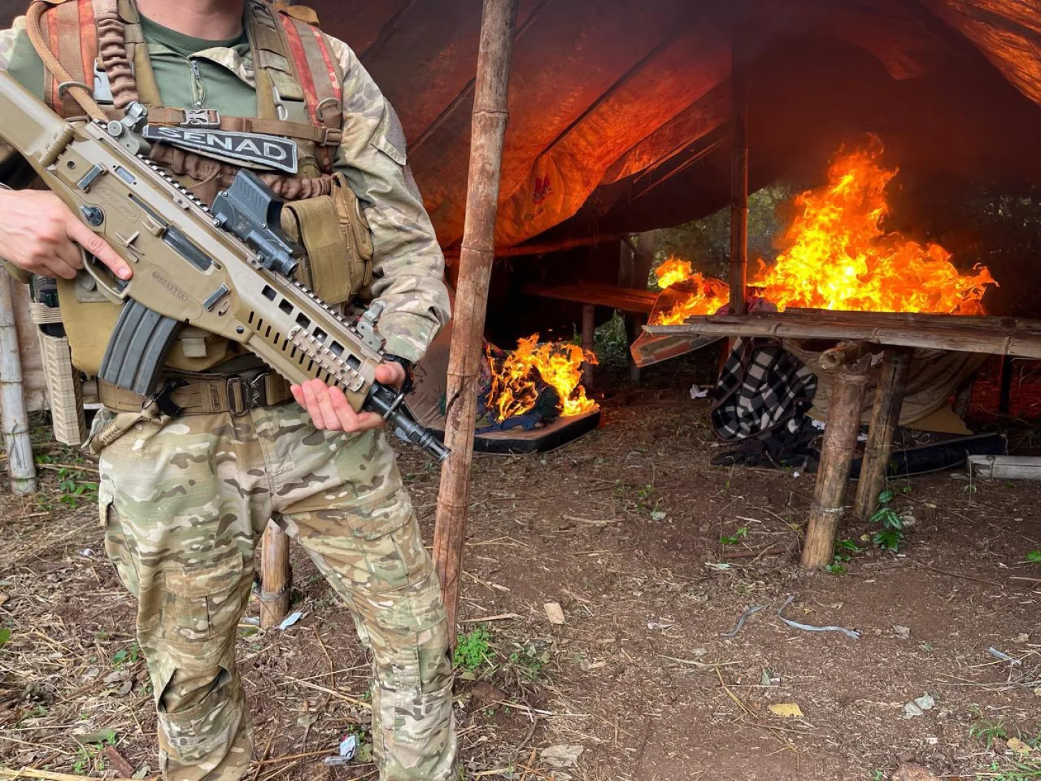 SENAD destruye cultivos y más de tres toneladas de marihuana en Capitán Bado