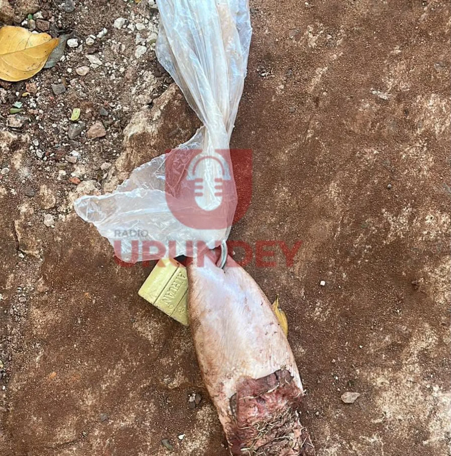 Amenazan de muerte a una joven con una lengua de vaca y candado en Pedro Juan Caballero
