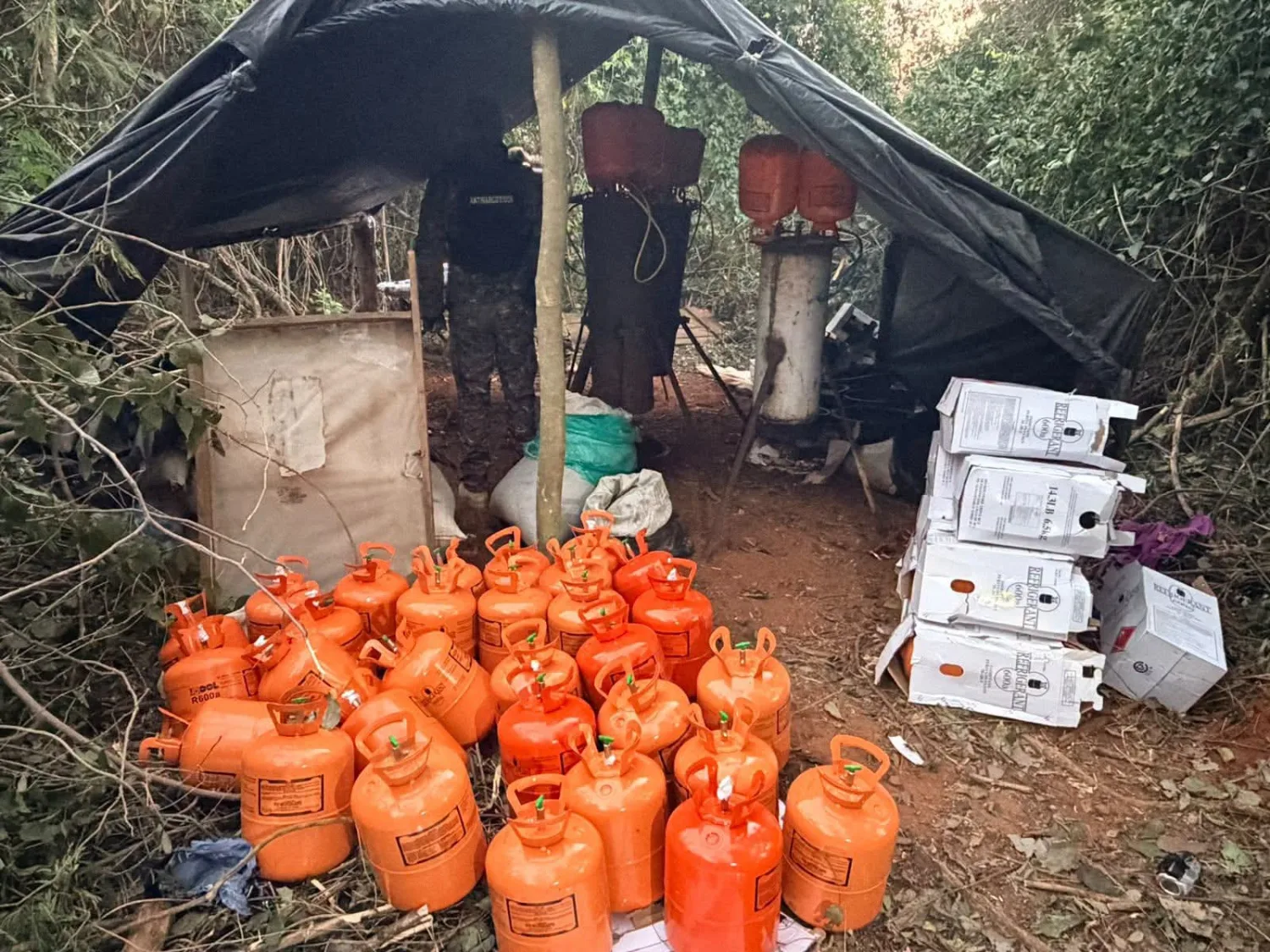 Destruyen un laboratorio para elaborar marihuana tipo ICE en Karapaí