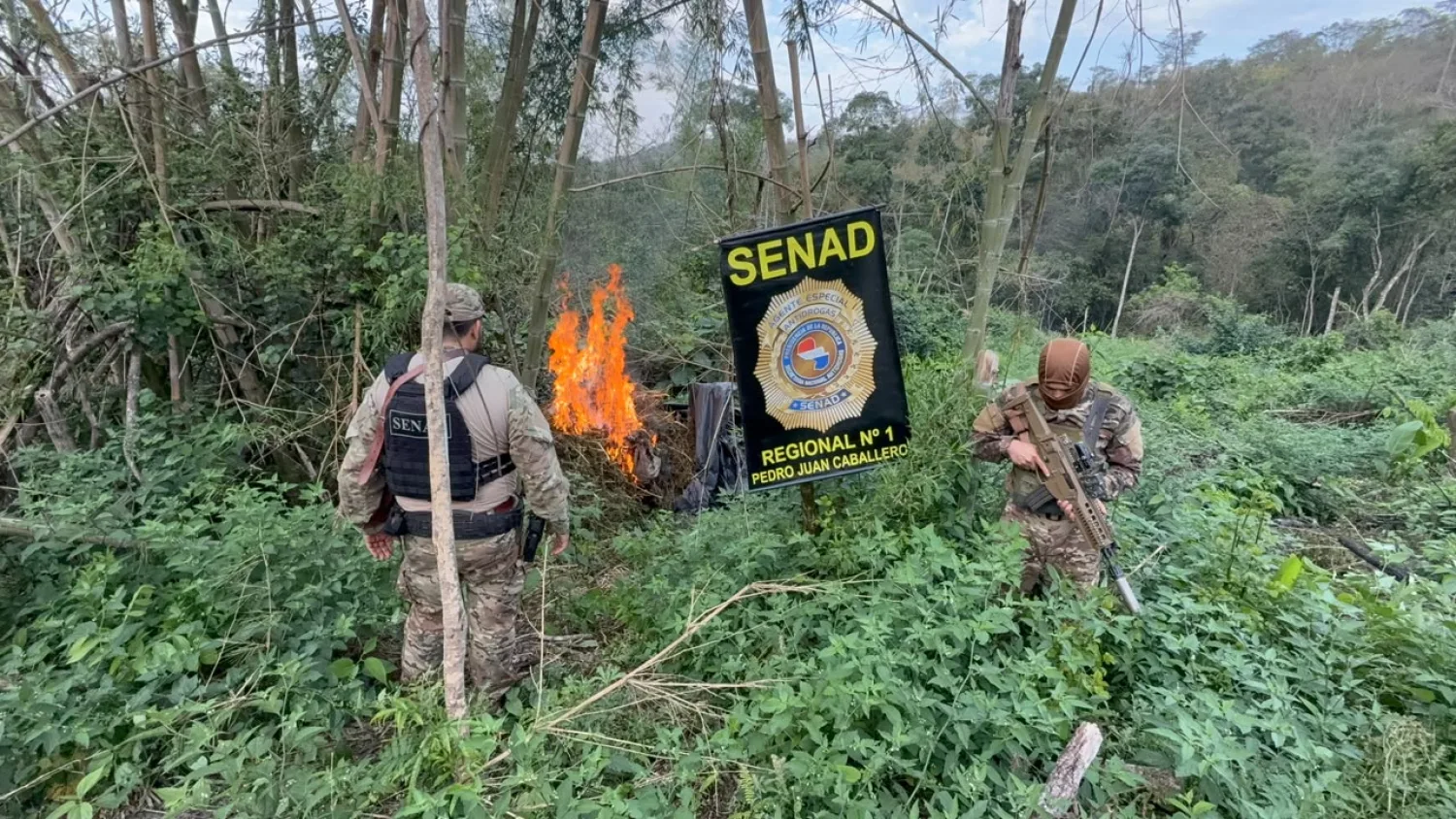 Allanan un inmueble e incineran más de cuatro toneladas de marihuana en Cerro Corá