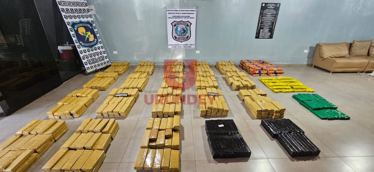 Incautan casi 800 kilos de marihuana tras un allanamiento en Pedro Juan Caballero