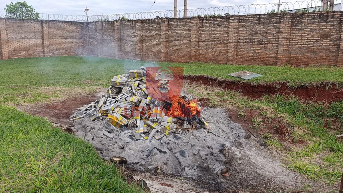 Incineran más de dos toneladas de marihuana incautadas por la FTC en Bella Vista Norte