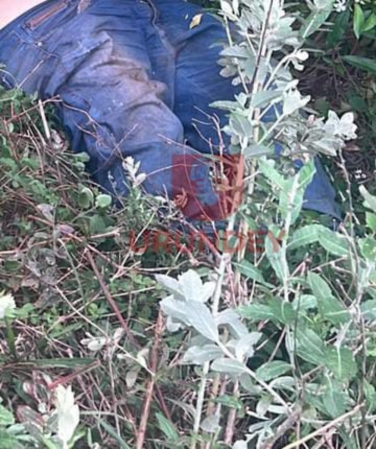Hallan el cuerpo de un hombre con un disparo en la cabeza en Pedro Juan Caballero