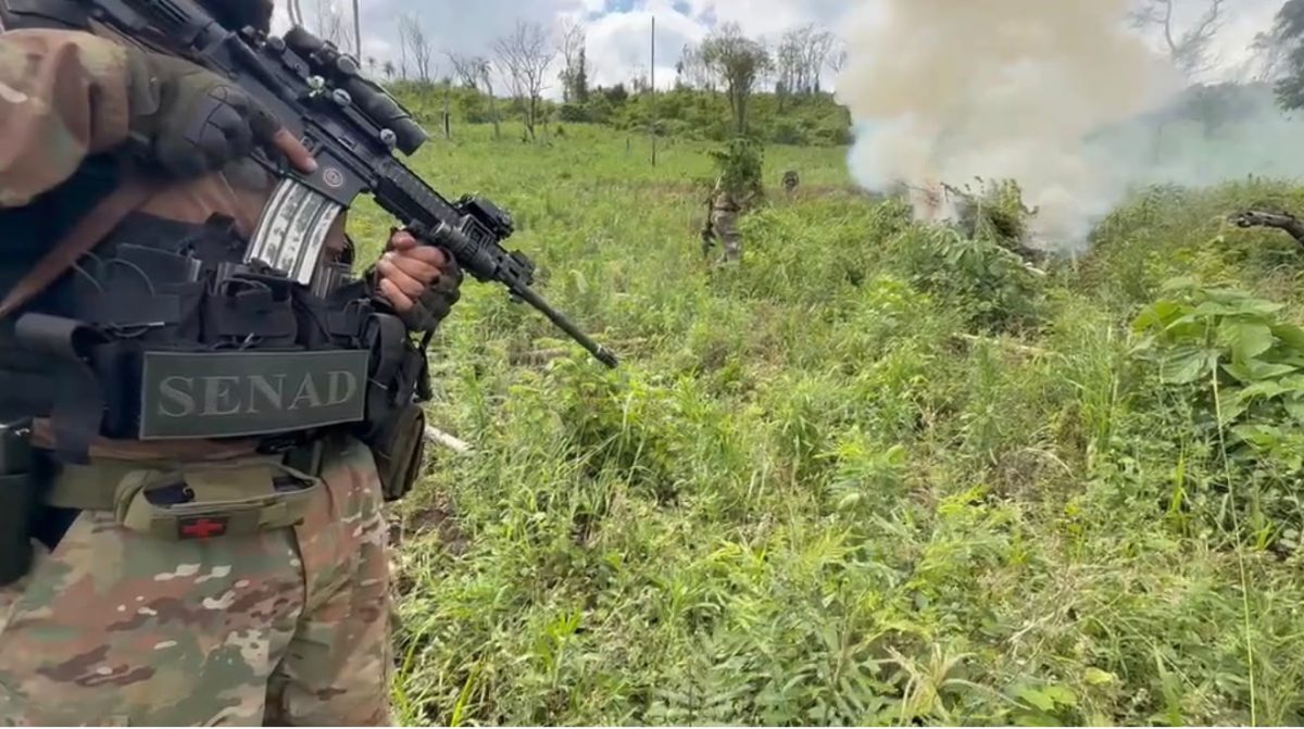 SENAD destruye más de dos toneladas de marihuana en Cerro Corá tras un allanamiento