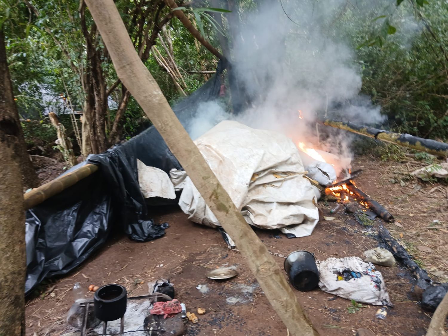 Antinarcóticos destruye 10 hectáreas de marihuana en incursión rural en Zanja Pytã