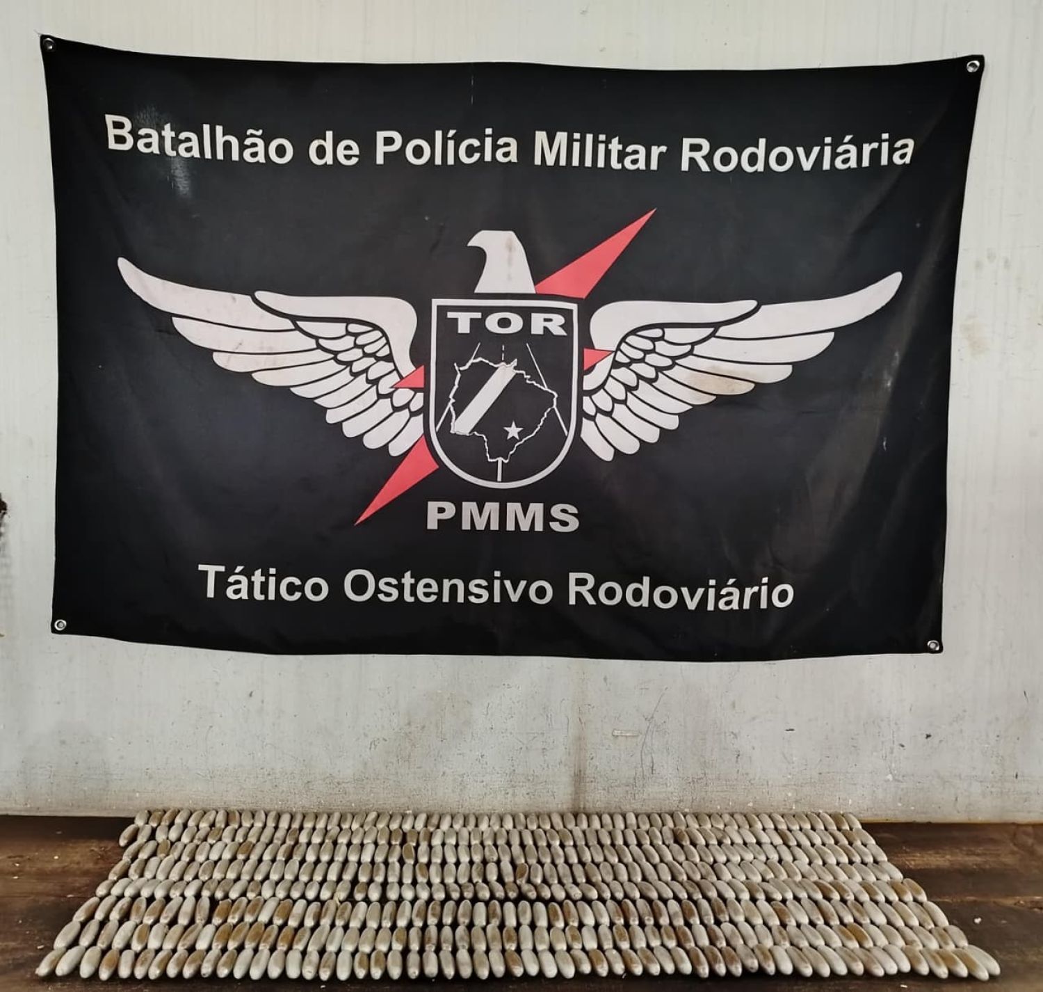 Incautan más de 5 kilos de cápsulas de cocaína en un bus interestatal en Campo Grande