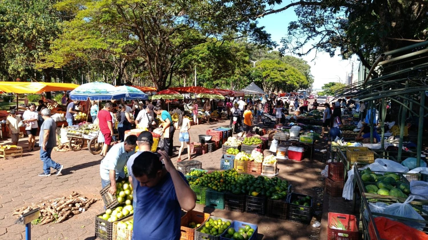 PJC: Productores ofrecen ingredientes frescos para los banquetes de Semana Santa