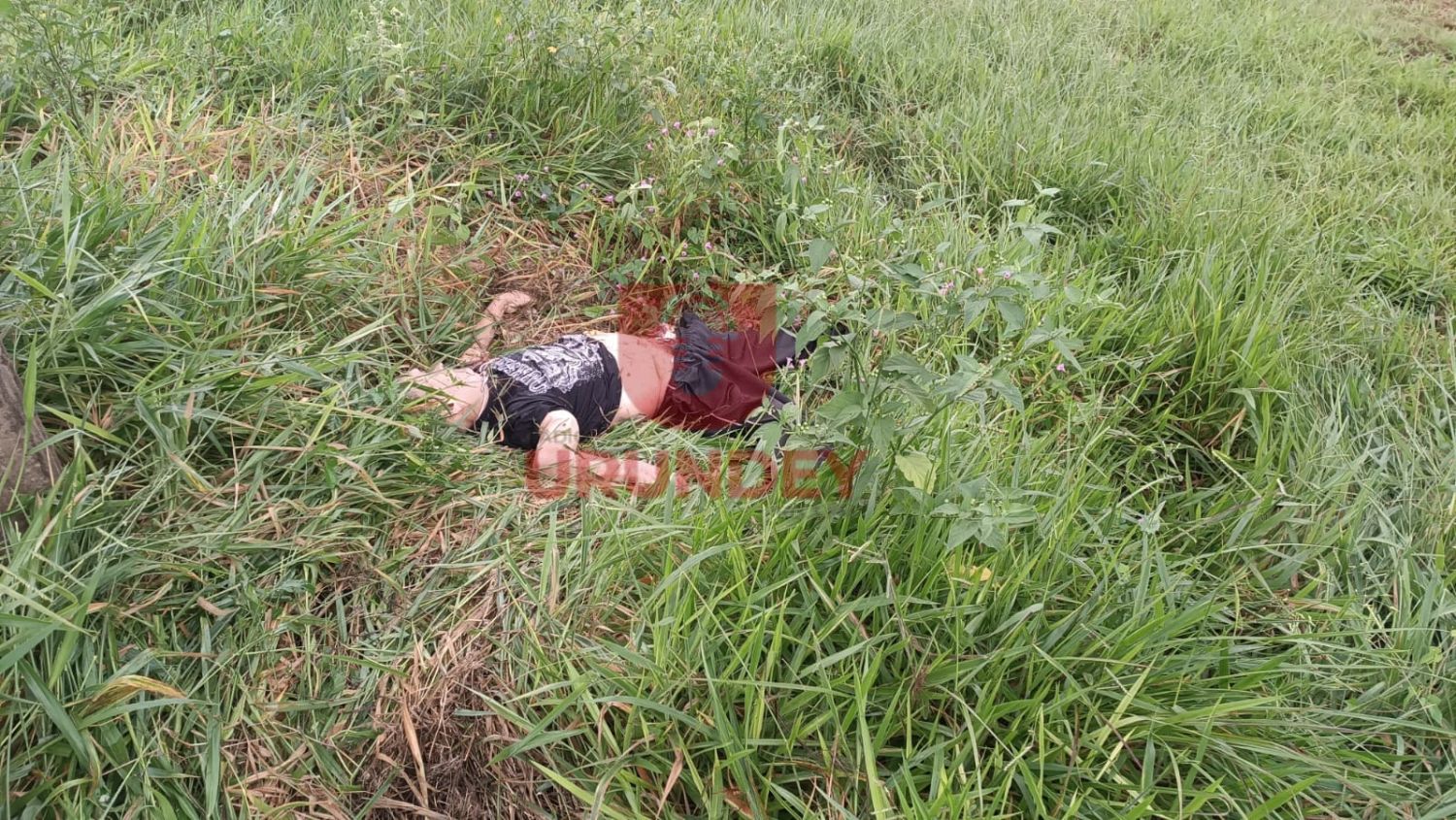 Cerro Corá: Sexagenario con discapacidad muere tras ser atropellado en la ruta PY05