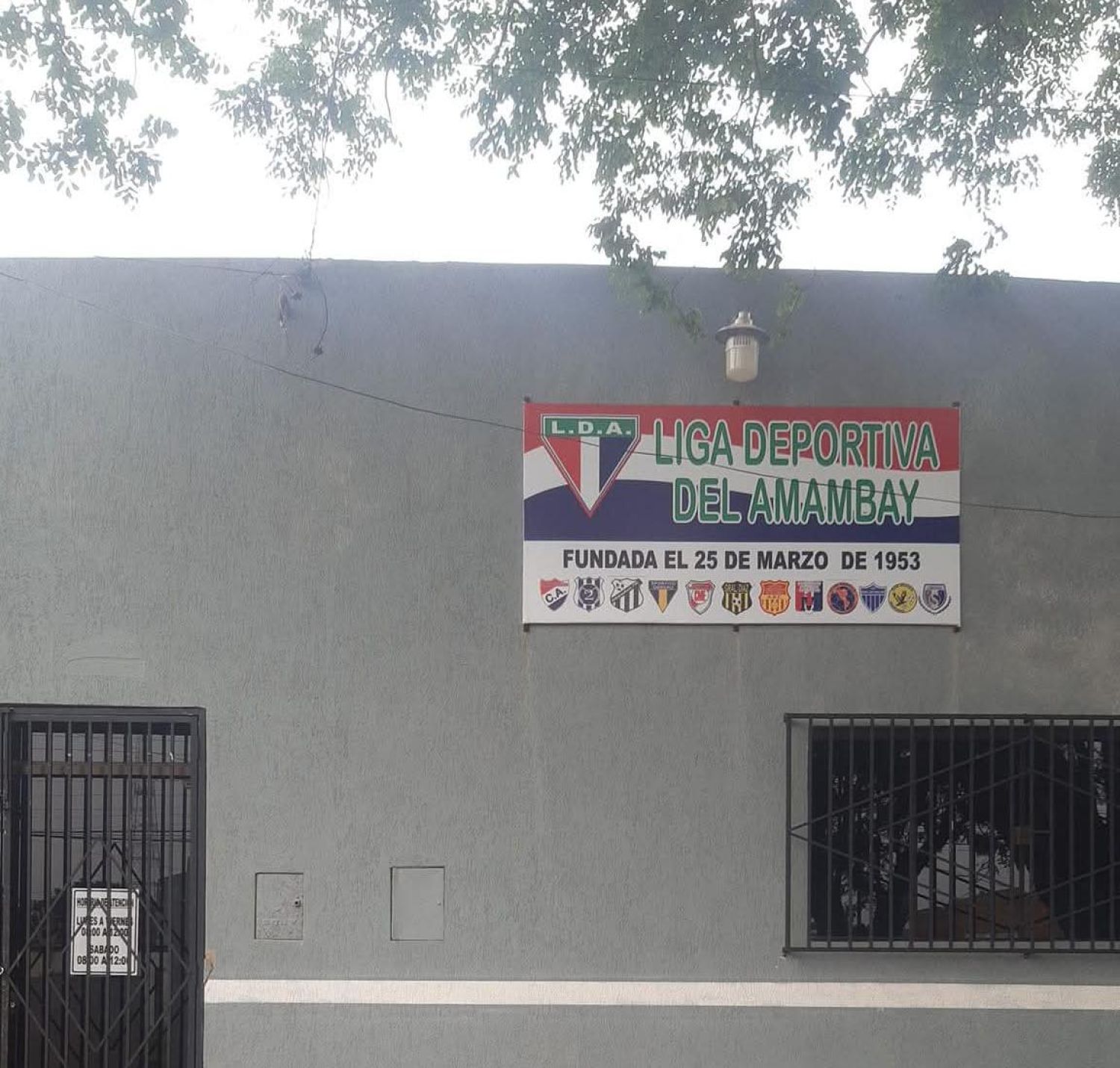 Tribunal Electoral declara nula convocatoria a elecciones en la Liga Deportiva del Amambay