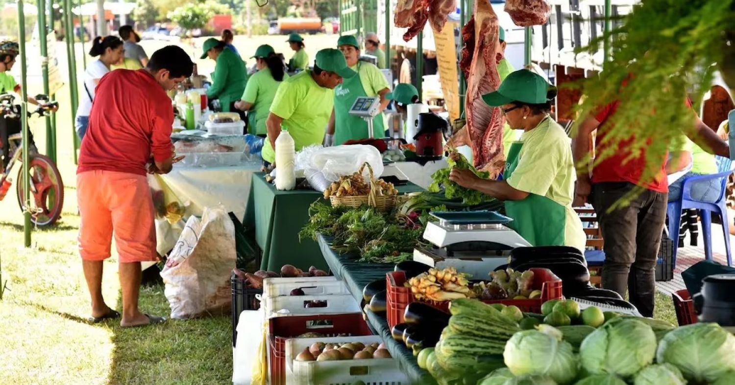 MAG anuncia el lanzamiento de la “Feria de la Carne” con precios accesibles y alcance nacional