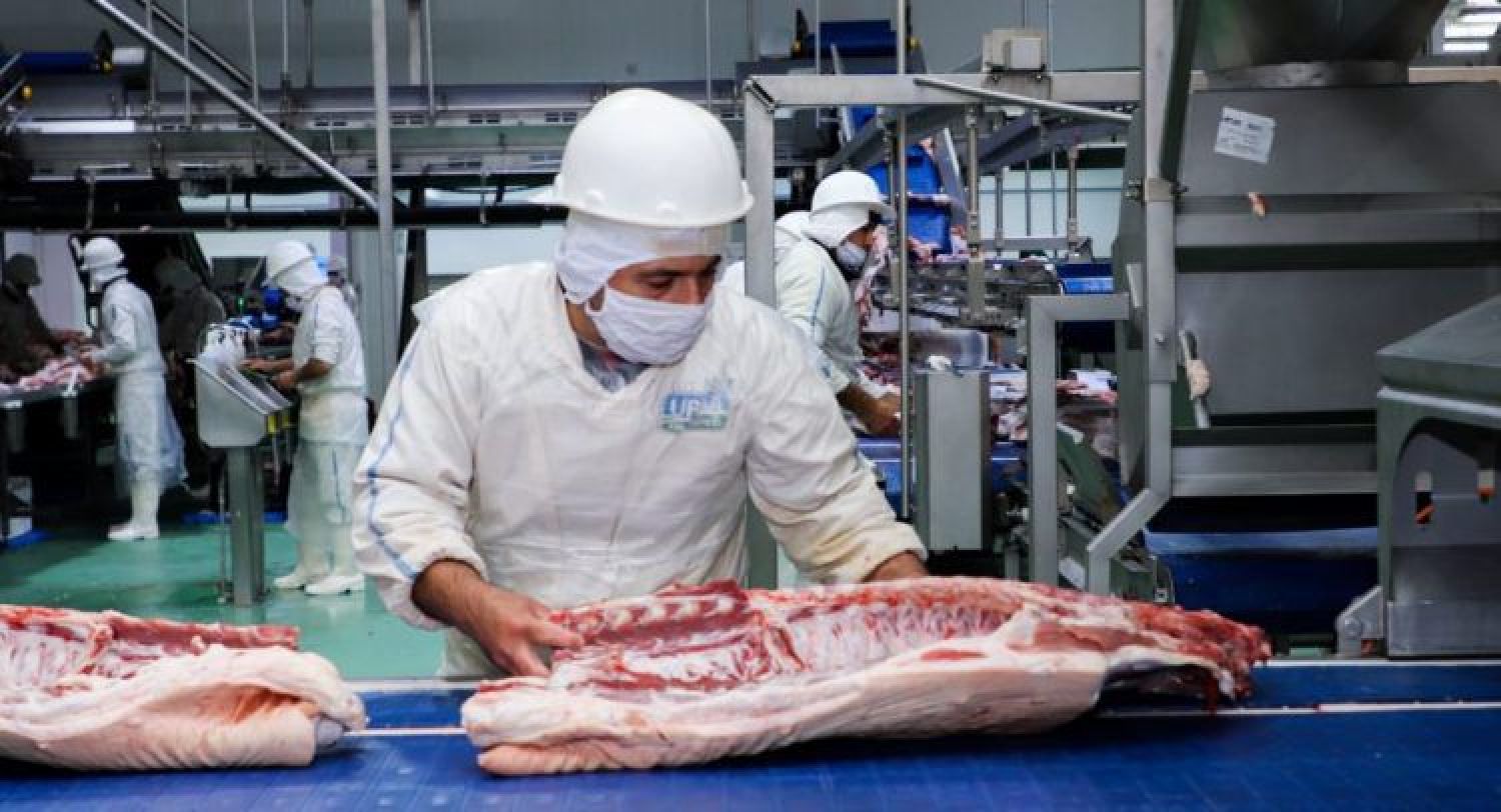 Senacsa anuncia habilitación de frigoríficos para exportar carne porcina a Argentina