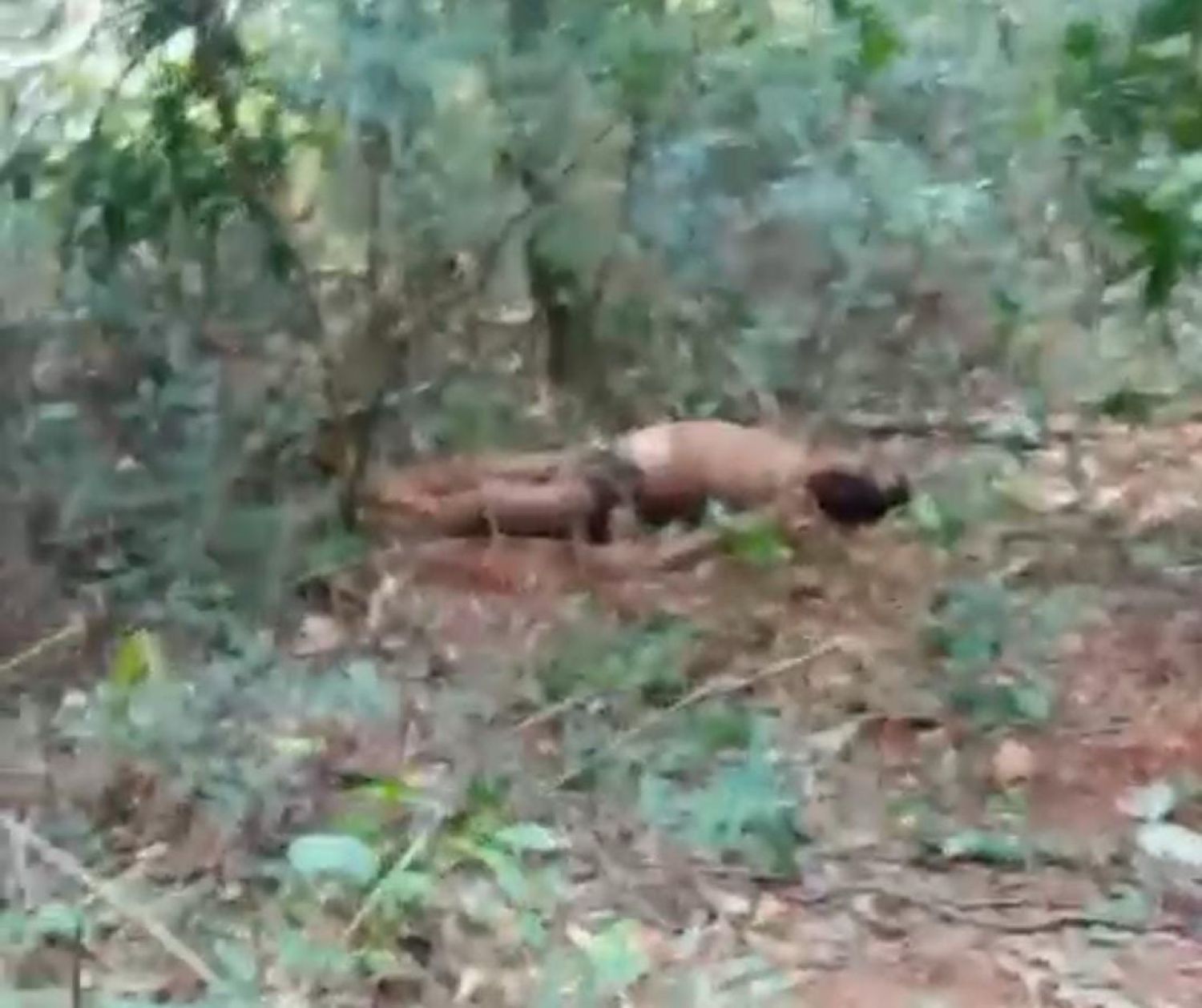 Asesinan a un líder indígena en Capitán Bado y detienen a un menor de 14 años