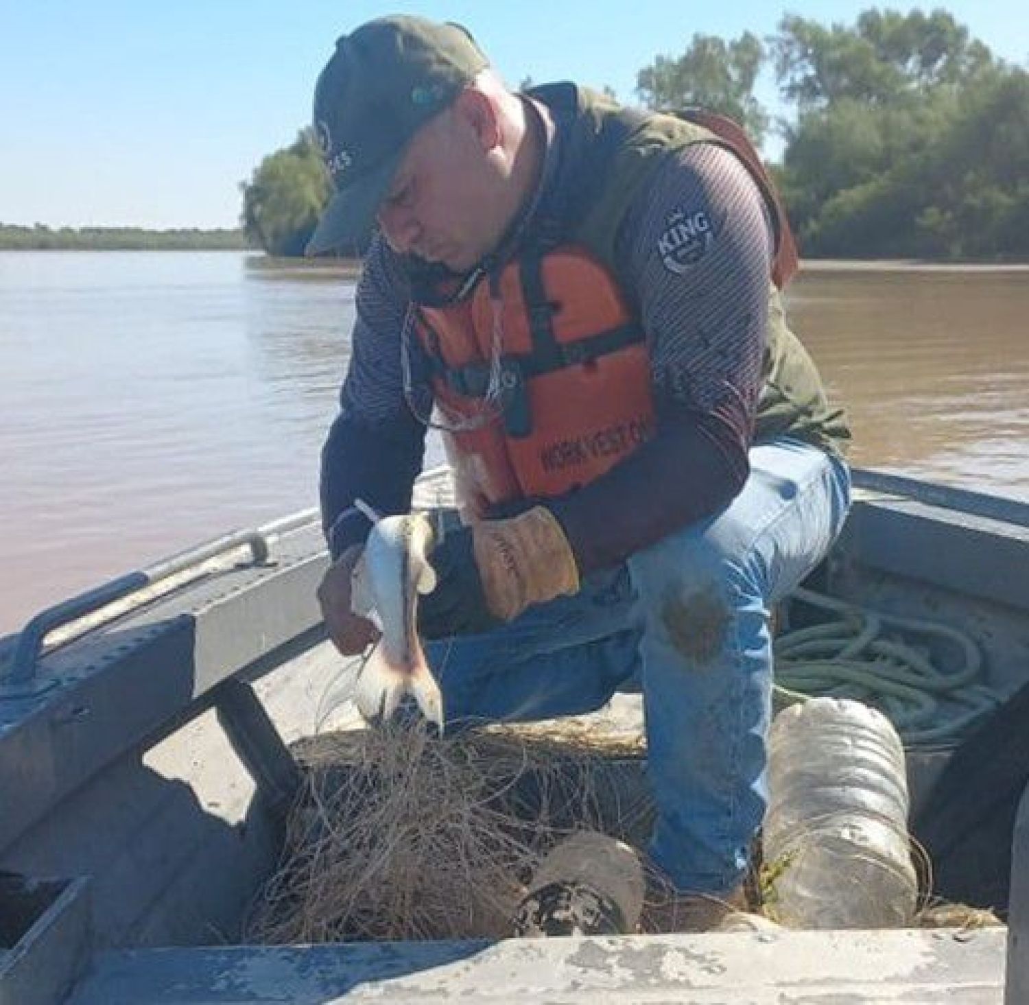 Decomisan espineles y liberan peces atrapados durante control fluvial entre el río Paraguay y Paraná